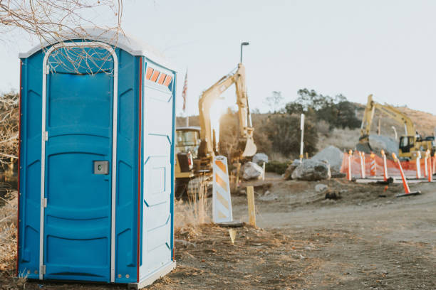Best High-end porta potty rental  in Falcon Heights, MN